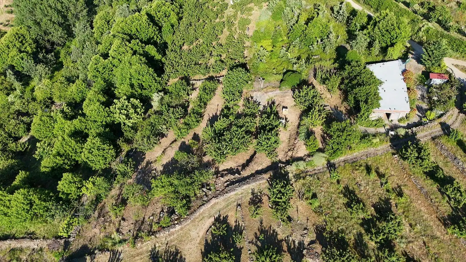 Terreni e lotti in vendita a Casas del Castañar, imagen 5