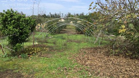 Foto 2 de Finca rústica en venda a Almonte ciudad, Almonte