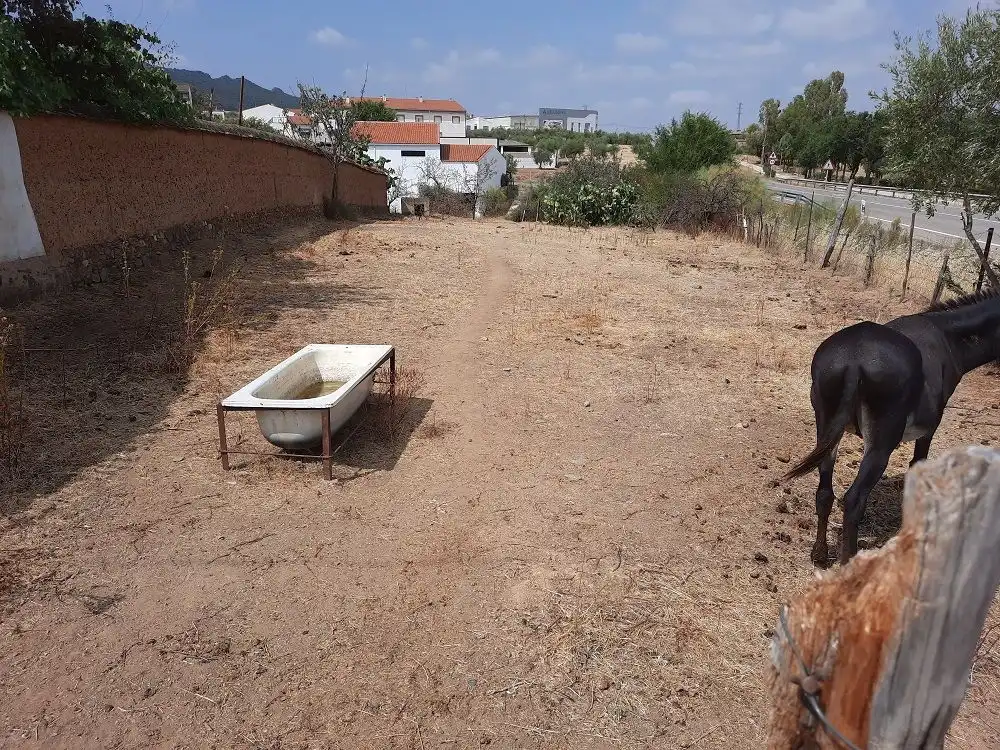 Terreni e lotti in vendita a Calle Hernán Cortés 43, imagen 2