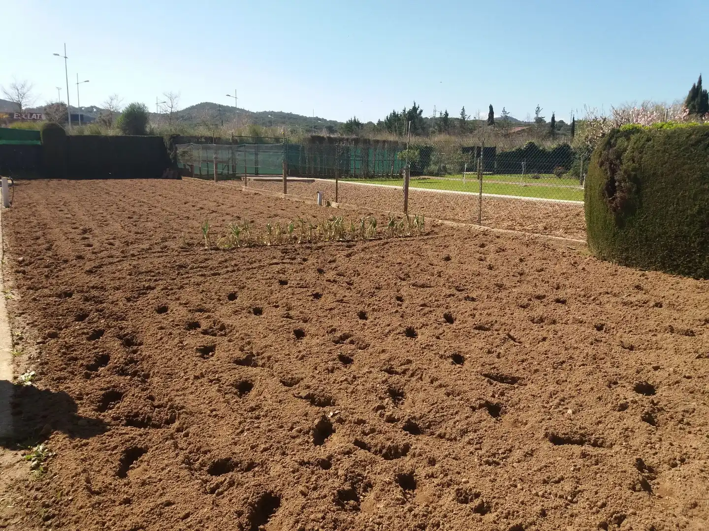 Garten von Grundstücke zum Verkauf in Palafrugell