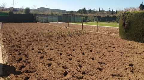 Foto 4 von Grundstücke zum Verkauf in La Punxa, Palafrugell