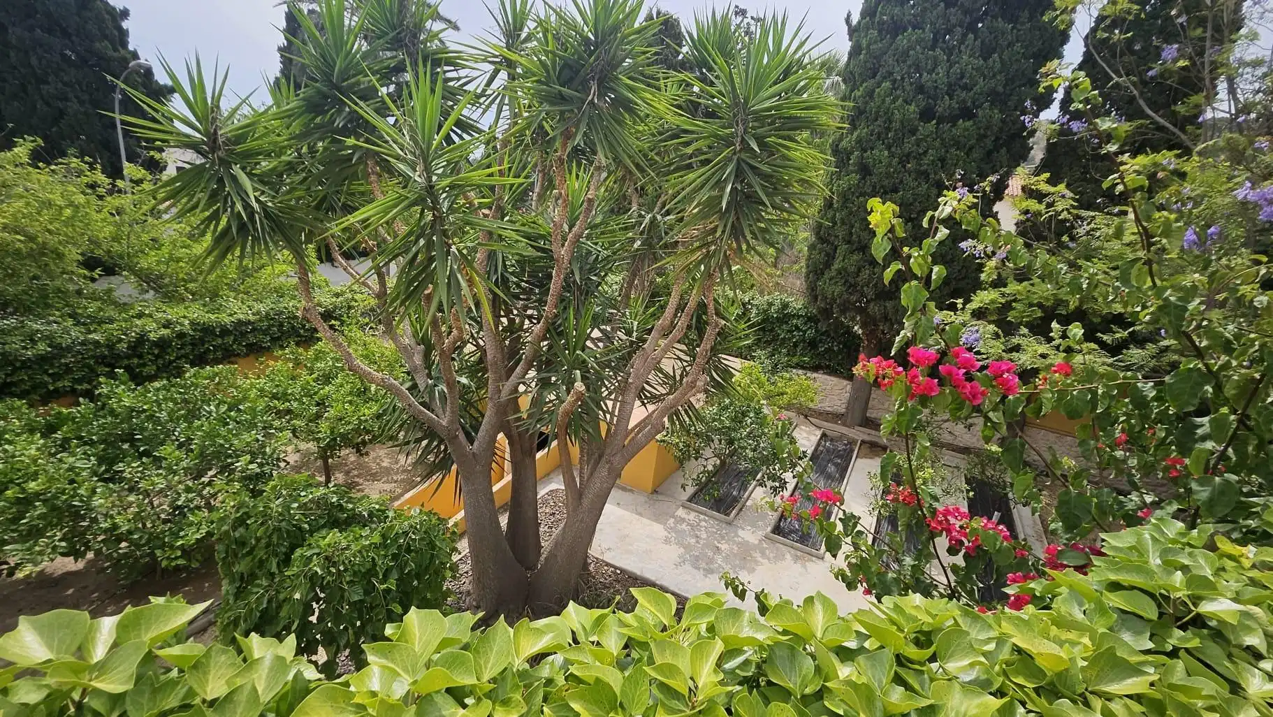 Villa con terrazza in vendita a Garbinet - Vistahermosa, imagen 64