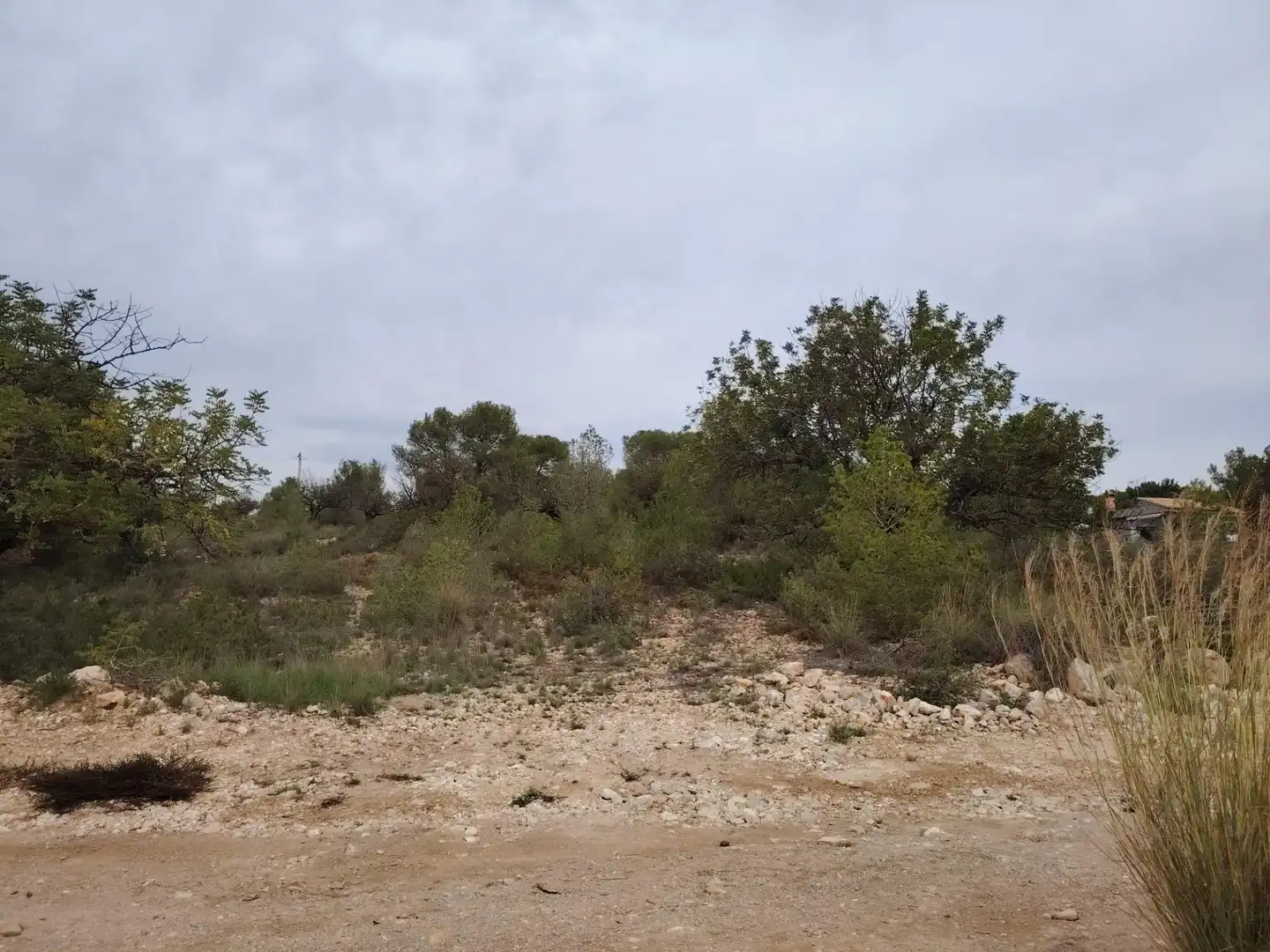 Terreny rústic en venda a Santa Bárbara, imagen 3