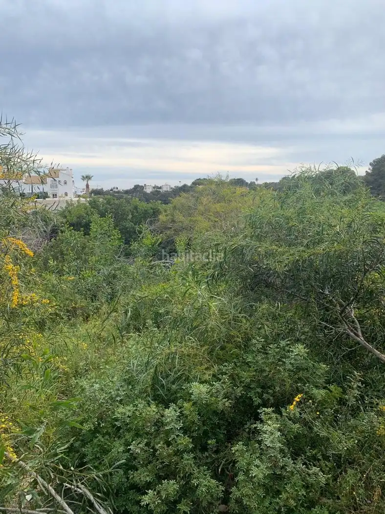 Terreno rustico in vendita a Avenida Galgos 50