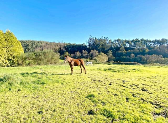 Terreno residencial en Venta en Lugar Ameneiro, 2 en A Capela