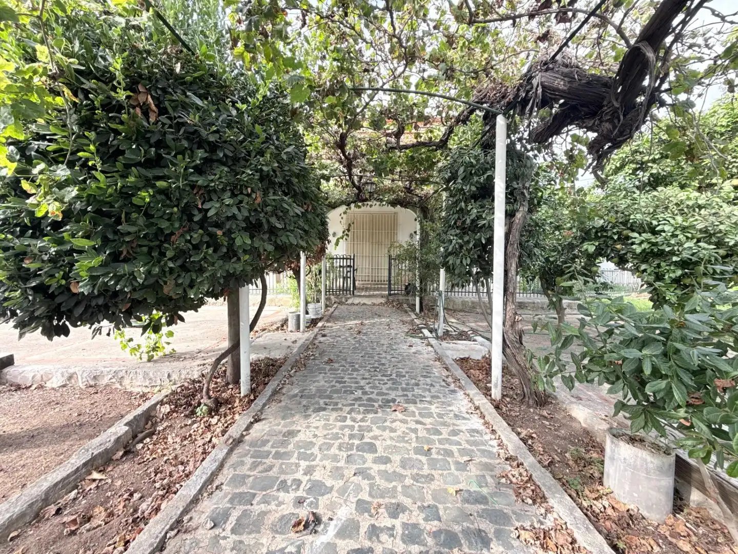 Jardí de Casa o xalet en venda en Beniarjó, Valencia