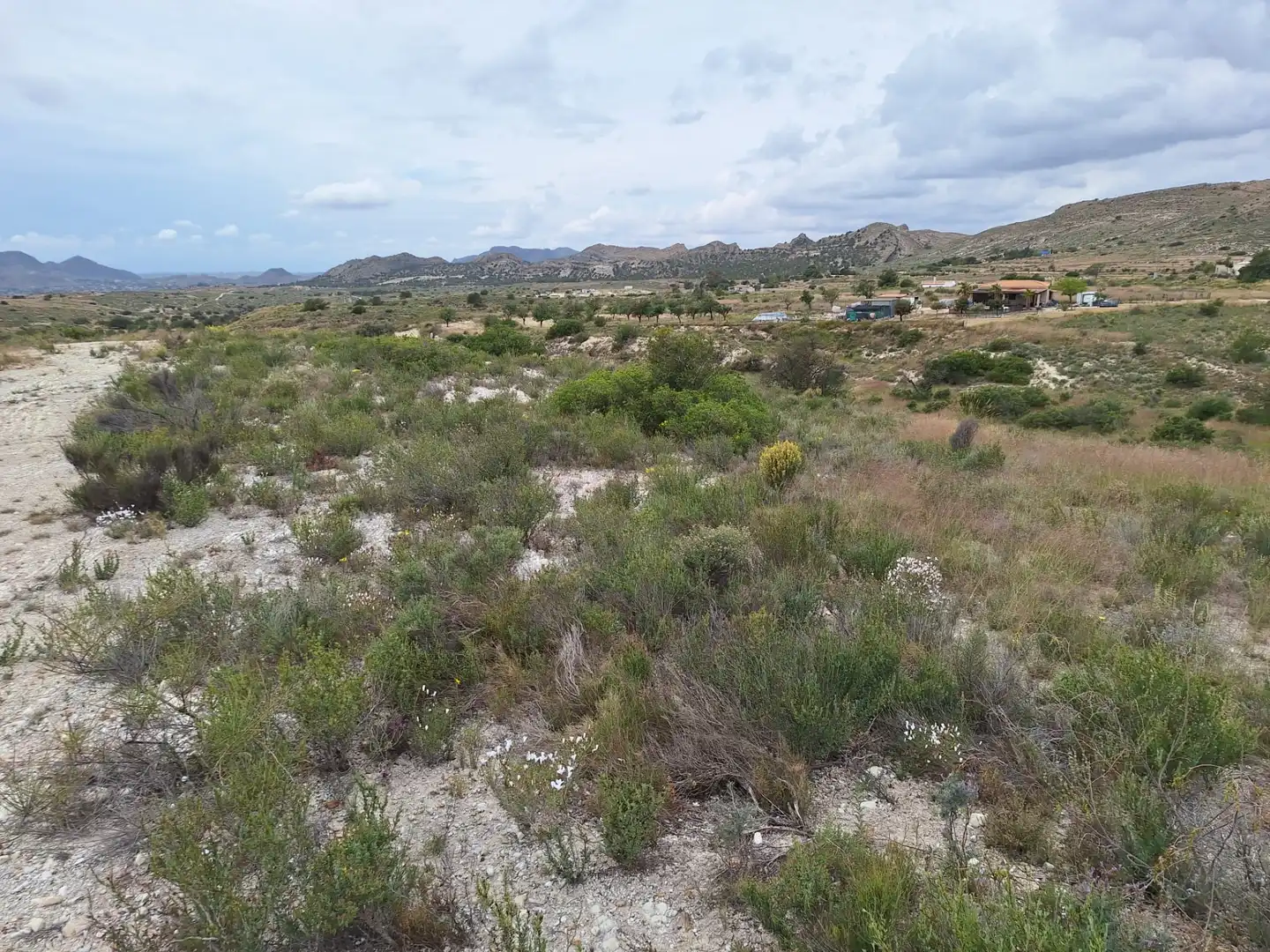 Terreny en venda en Alicante / Alacant