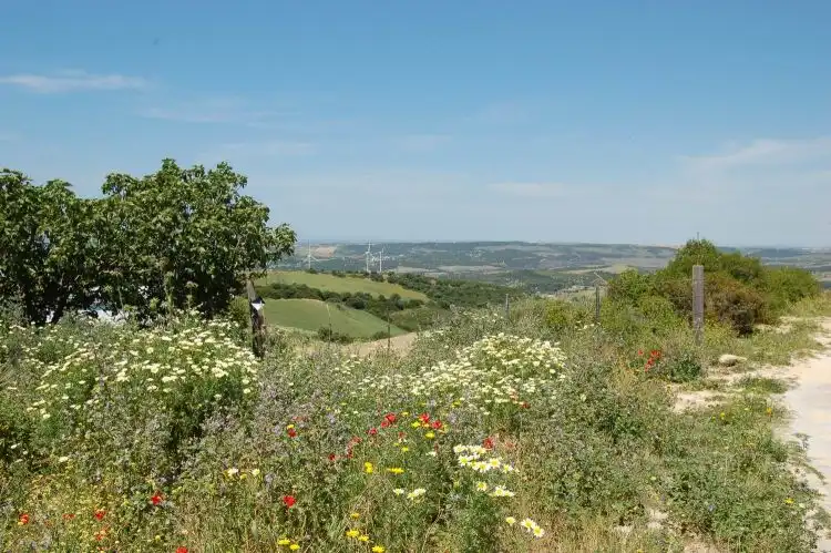 Terreni e lotti in vendita a La Muela, imagen 2
