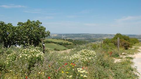 Photo 2 of Residential for sale in La Muela, Vejer de la Frontera