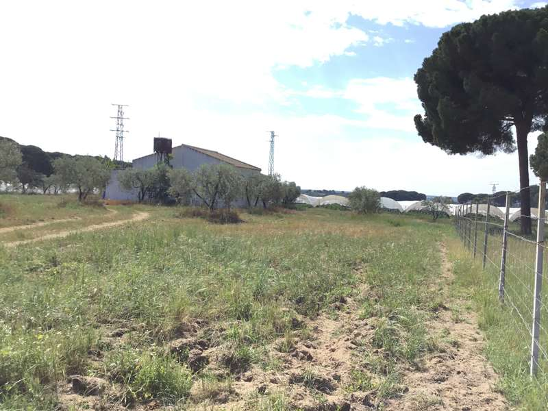 Finca rústica en venda en Almonte amb Terrassa i Moblat