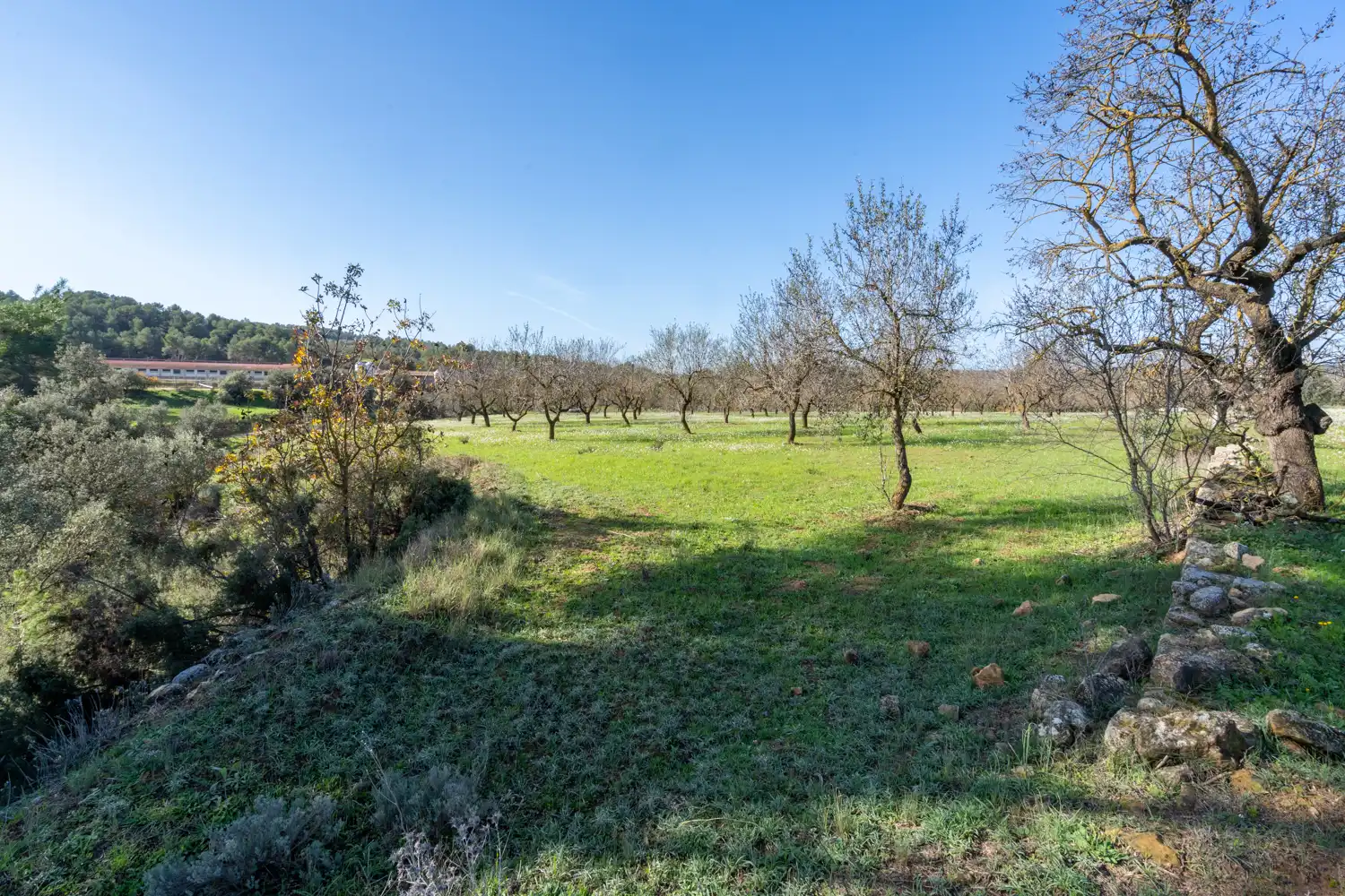 Rural land for sale in Horta de Sant Joan, imagen 5