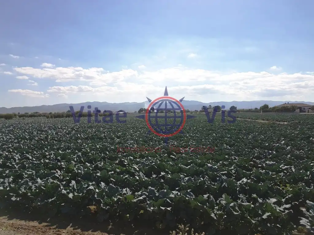 Residential land for sale in Diseminados Cazalla, imagen 2