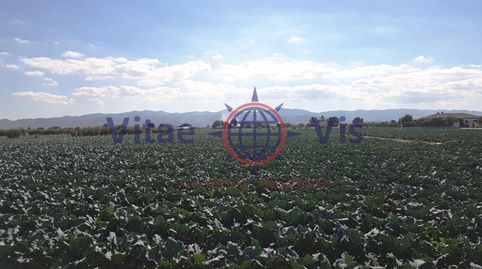 PARCELA 7.000 M2 EN CAZALLA, imatge 2