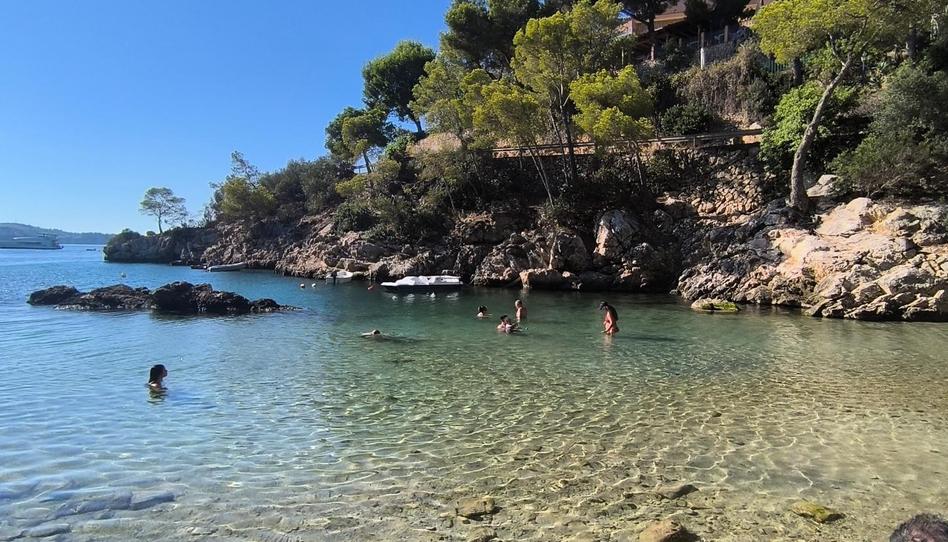 Photo 1 of Flat for sale in Peguera, Illes Balears