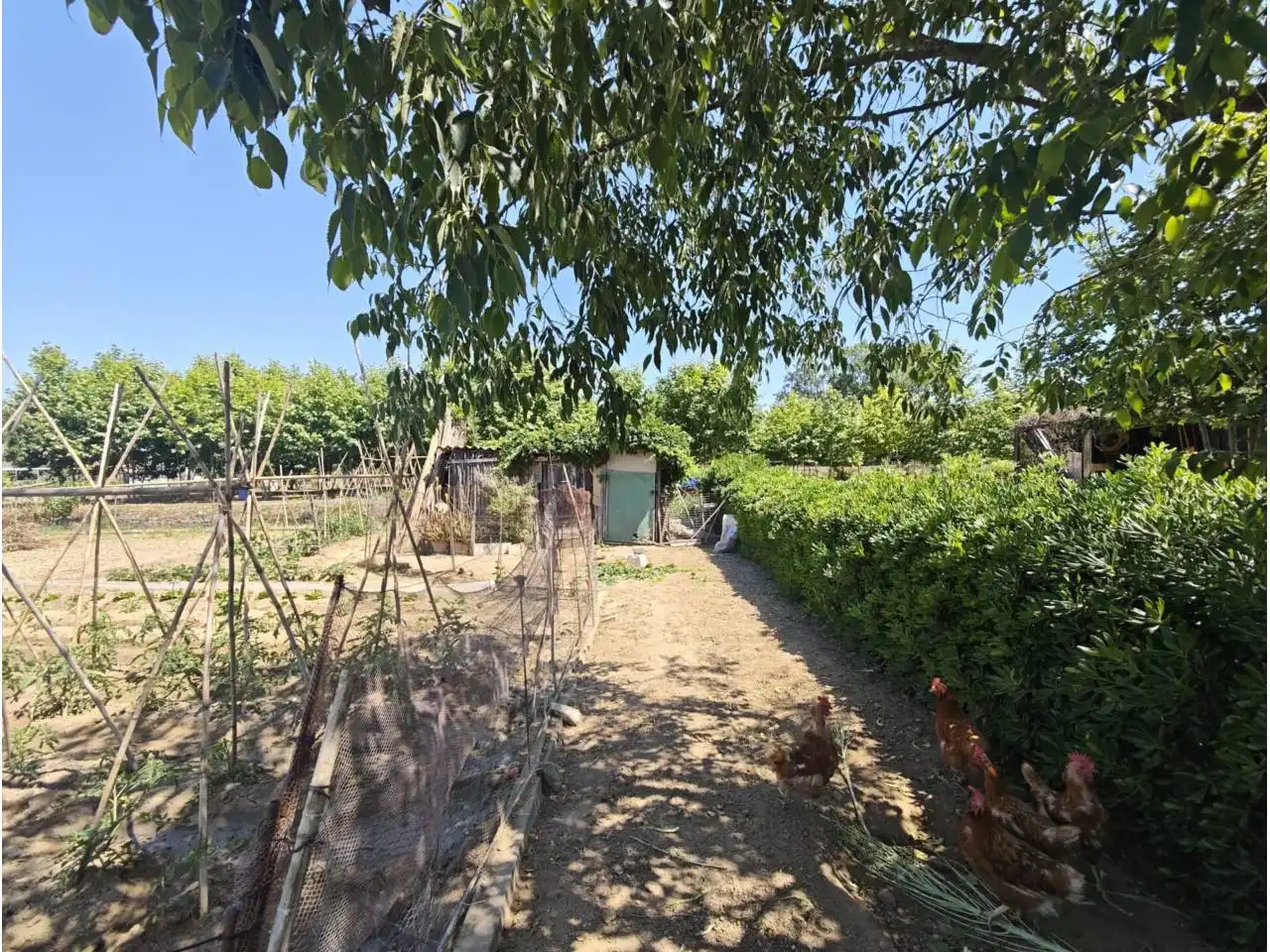 Terreno en venta en Blanes