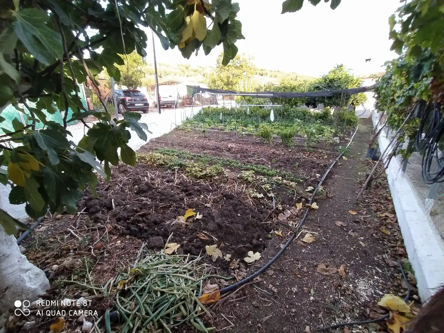 Jardín de Finca rústica en venta en Cabra del Santo Cristo