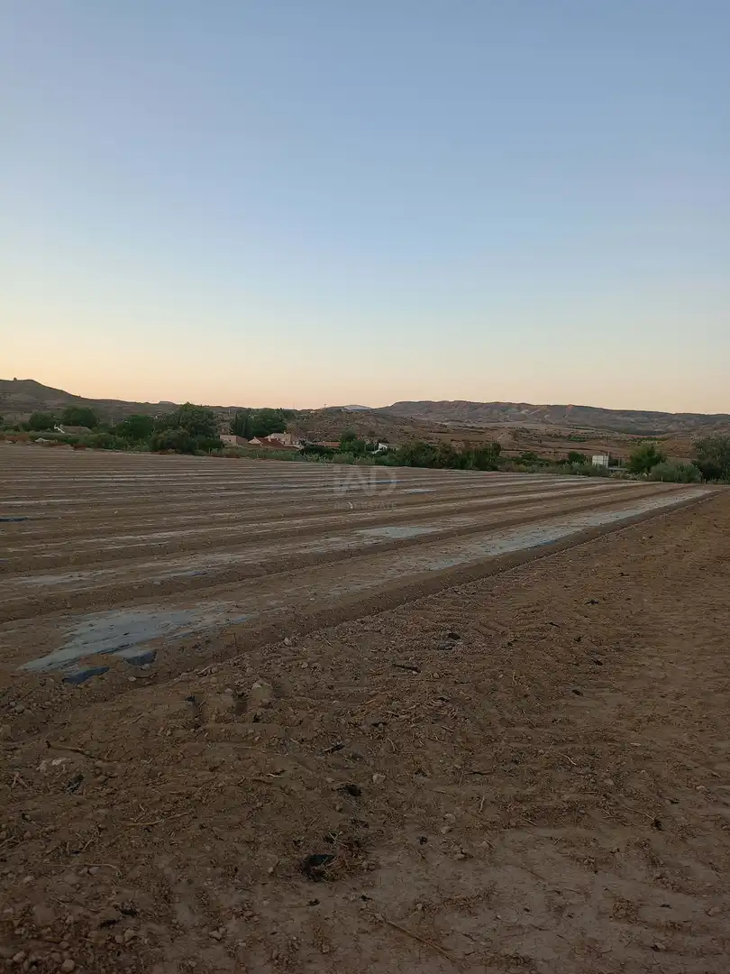 Country homes for sale in Lorca