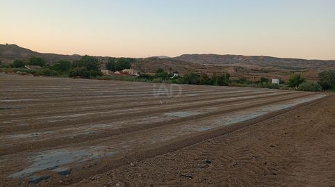 Photo 4 of Country homes for sale in Pozo Higuera, Lorca