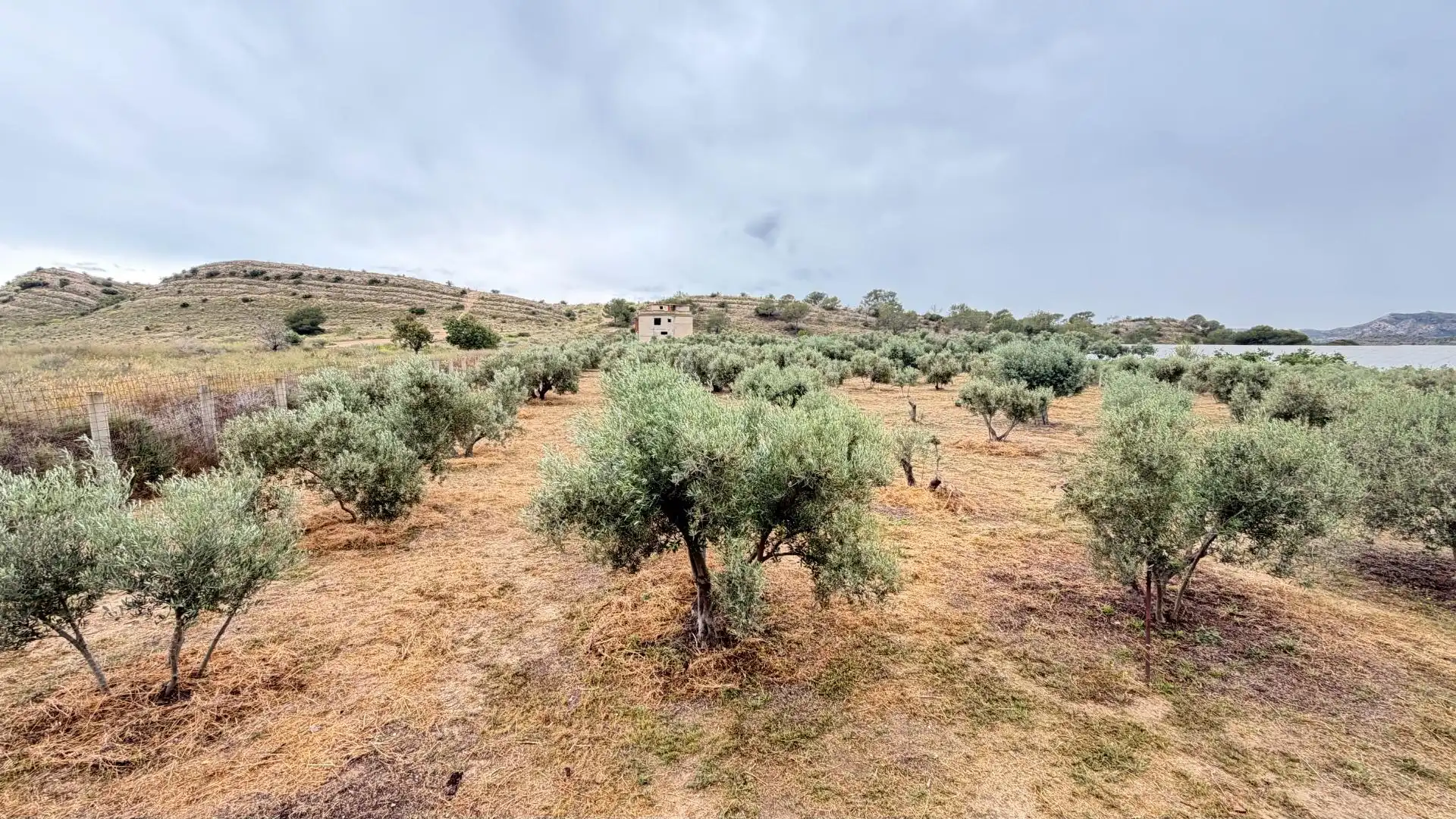 Houses for sale in Elche / Elx  with Heating, Private garden and Storage room