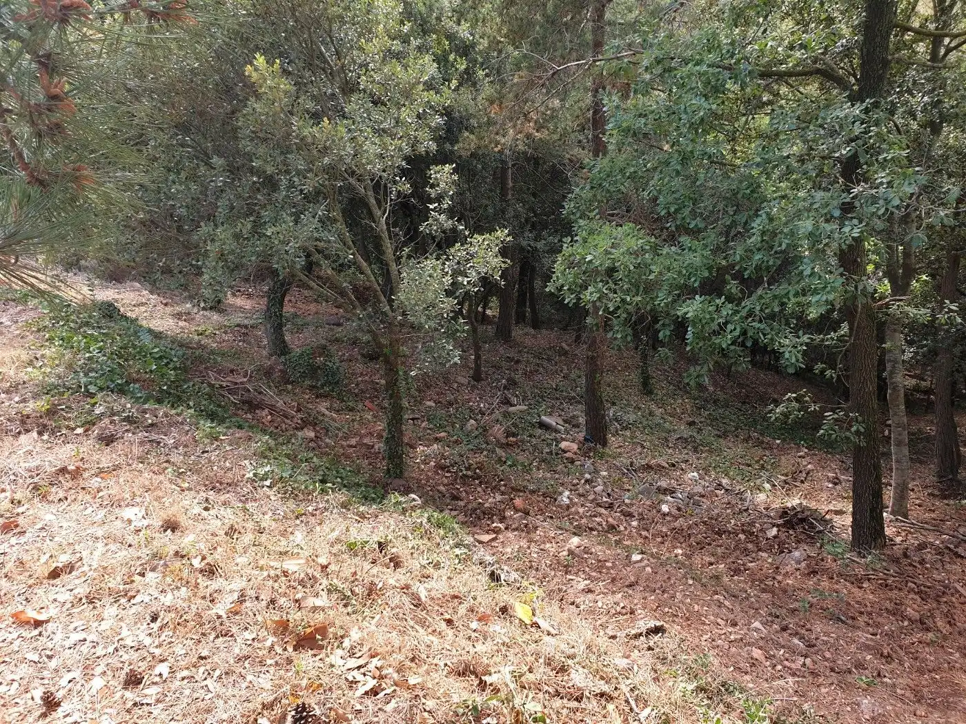 Terrain résidentiel à vendre à Matadepera, imagen 10