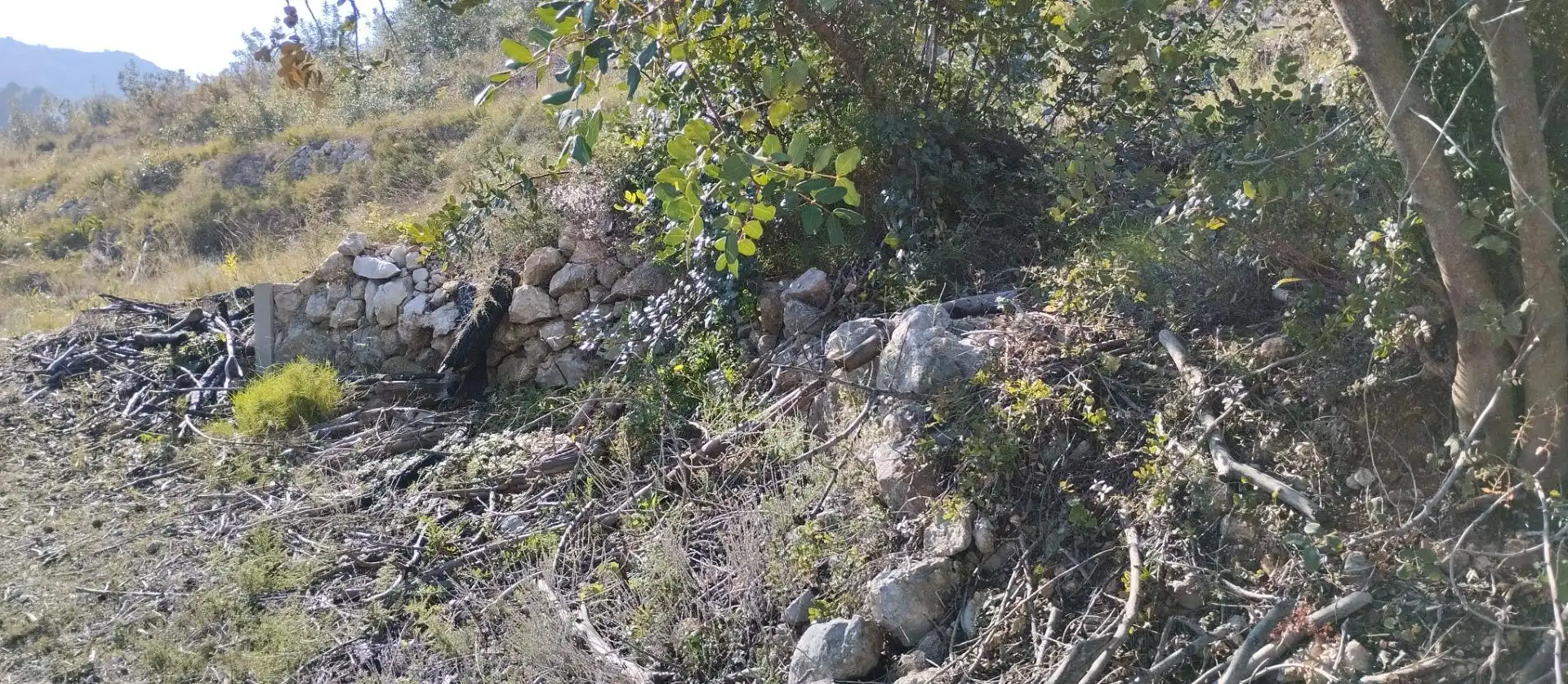 Rural land for sale in Pego, imagen 8