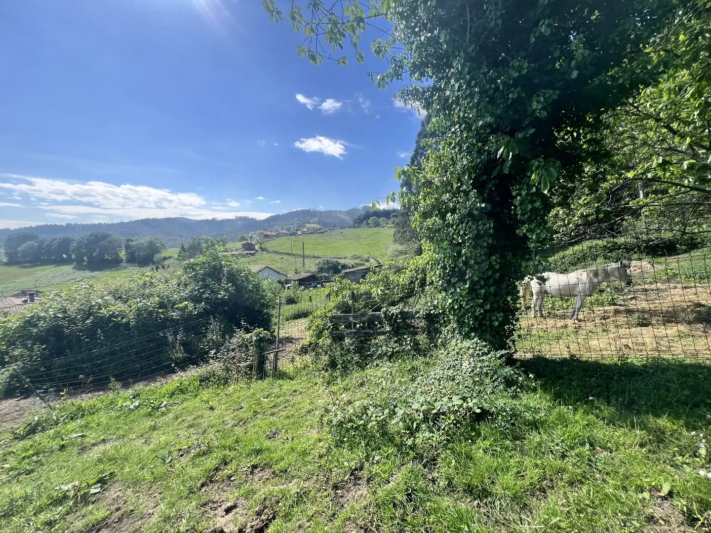 Detached homes for sale in Castrillón
