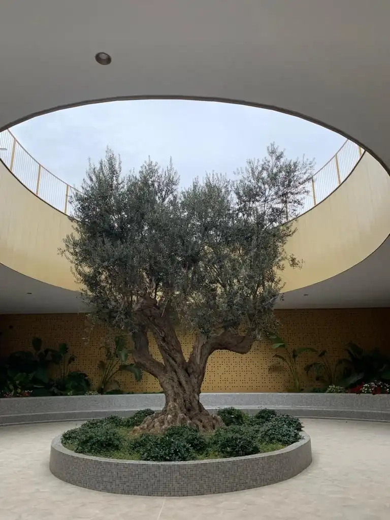Appartamento con piscina in vendita a Avinguda Mexic, imagen 11