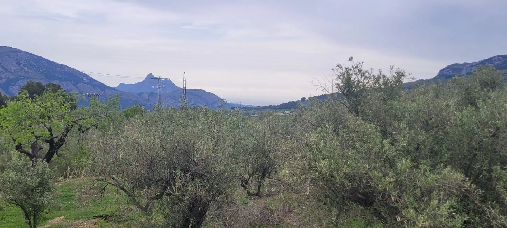Terrenys i solars en venda a Benifato, imagen 12