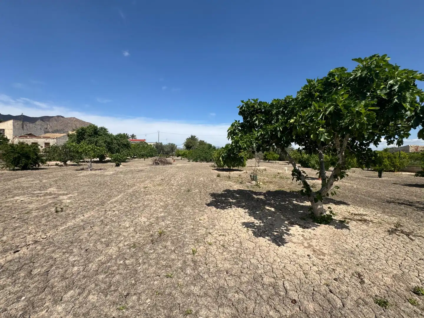 Casa en venta en Callosa de Segura, imagen 12
