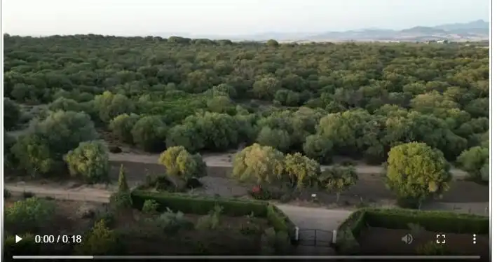 Casa rústica en venda a Arcos de la Frontera, imagen 3