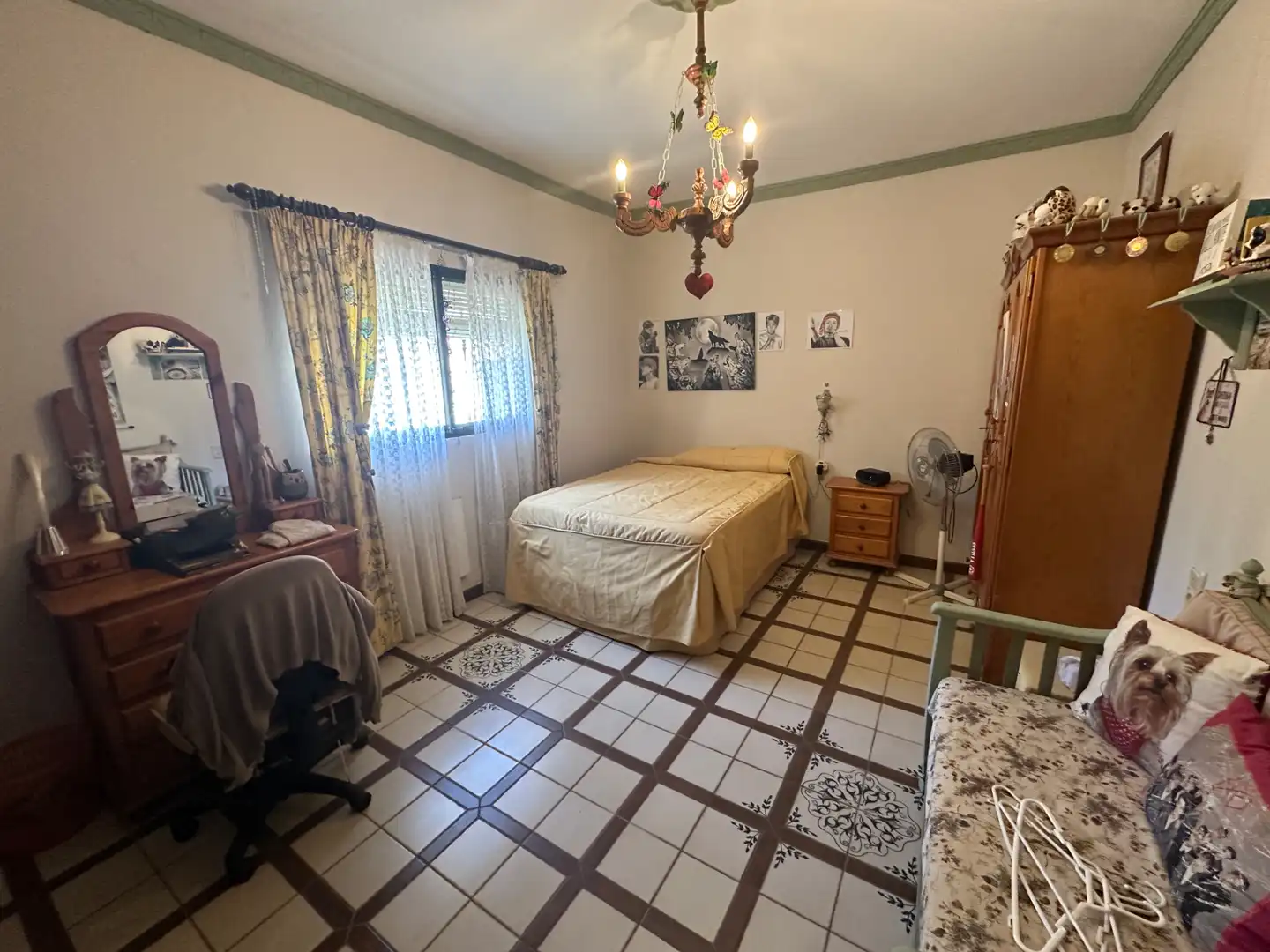 Lands and plots for sale in Centro, imagen 7