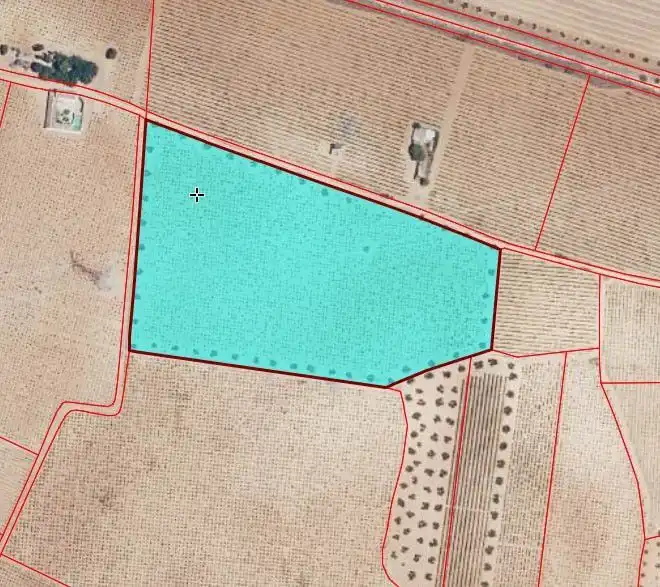 Lands and plots for sale in Valdepeñas, imagen 9