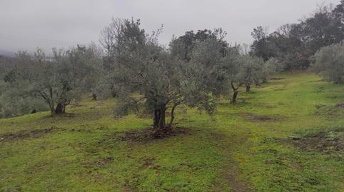 Photo 2 of Land for sale in Calle Virgen Puerto, 20, Miralvalle - Av. Virgen del Puerto - La Data, Cáceres