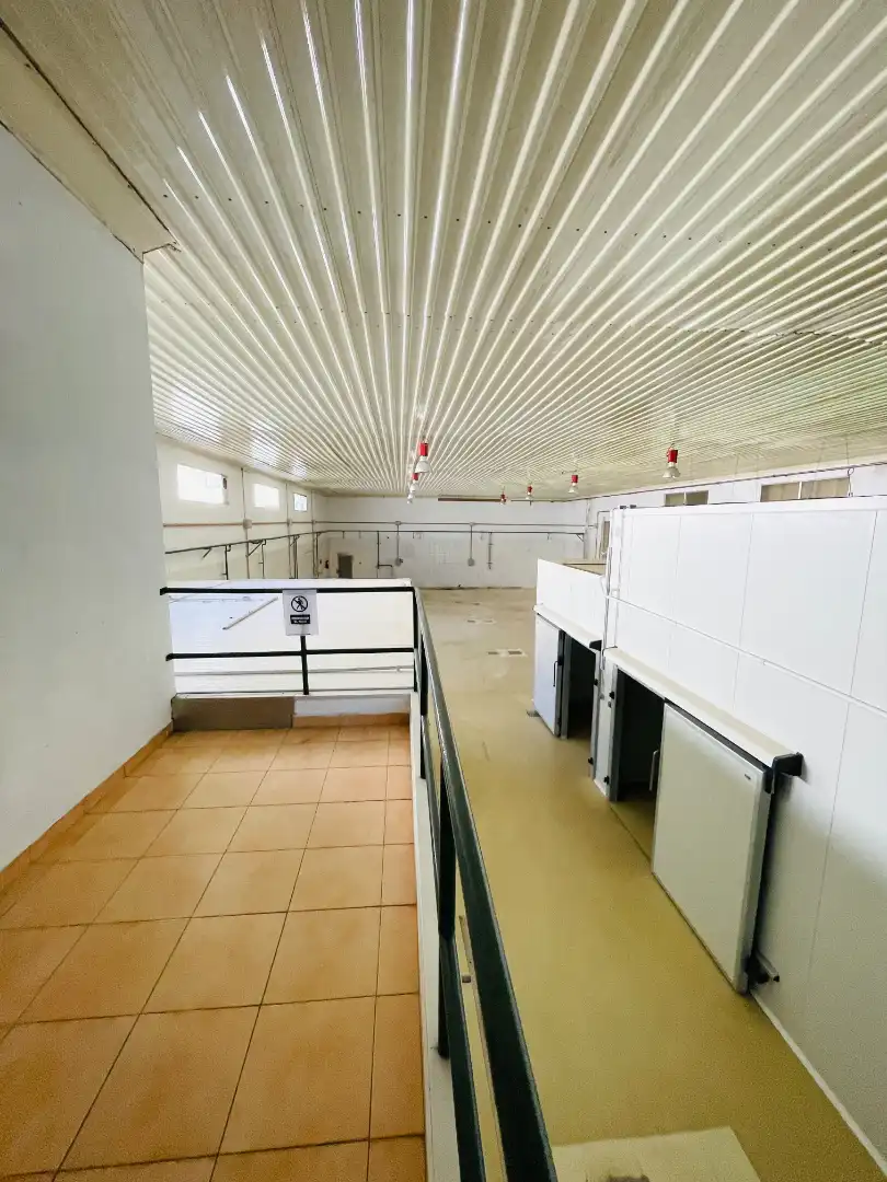 Industriegebäude zum Verkauf in Carrer de França
