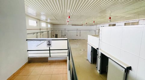 “Nave industrial en Les Comes lista para actividad alimentaria: cámaras frigoríficas y oficinas, ¡entra y empieza a producir!”