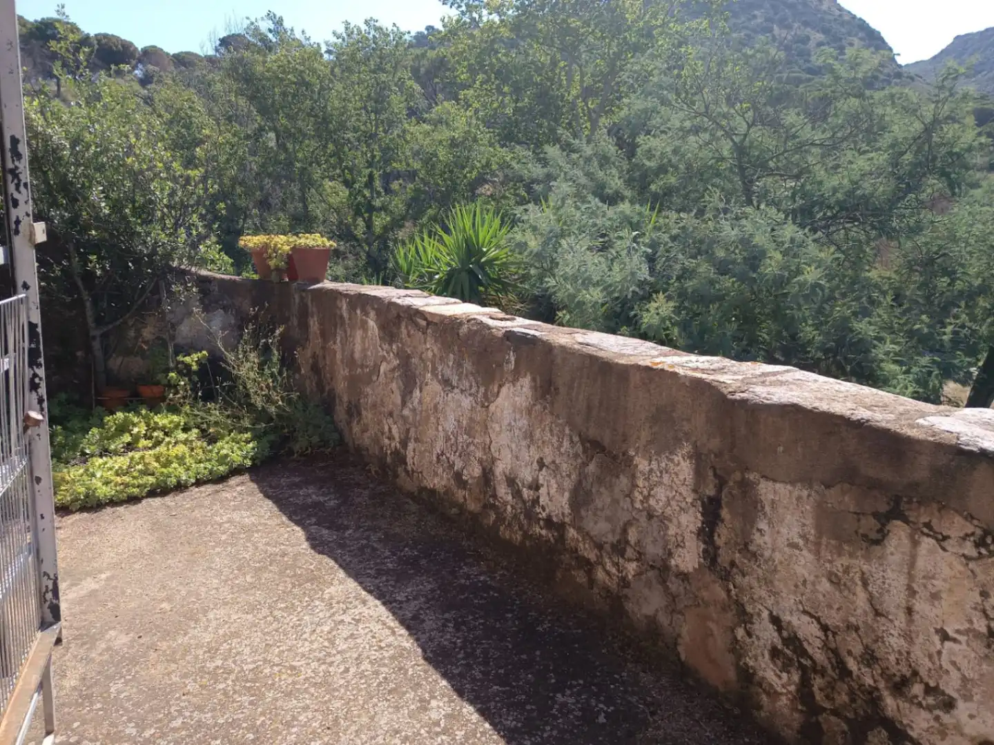 Jardín de Finca rústica en venta en Vilajuïga con Terraza, Trastero y Balcón