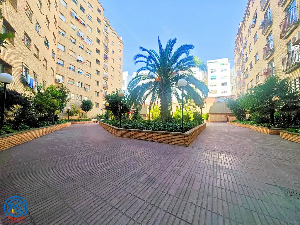 Piso de alquiler en Calle del Doctor Ricardo Lozano Monzón, 10, Ruiseñores
