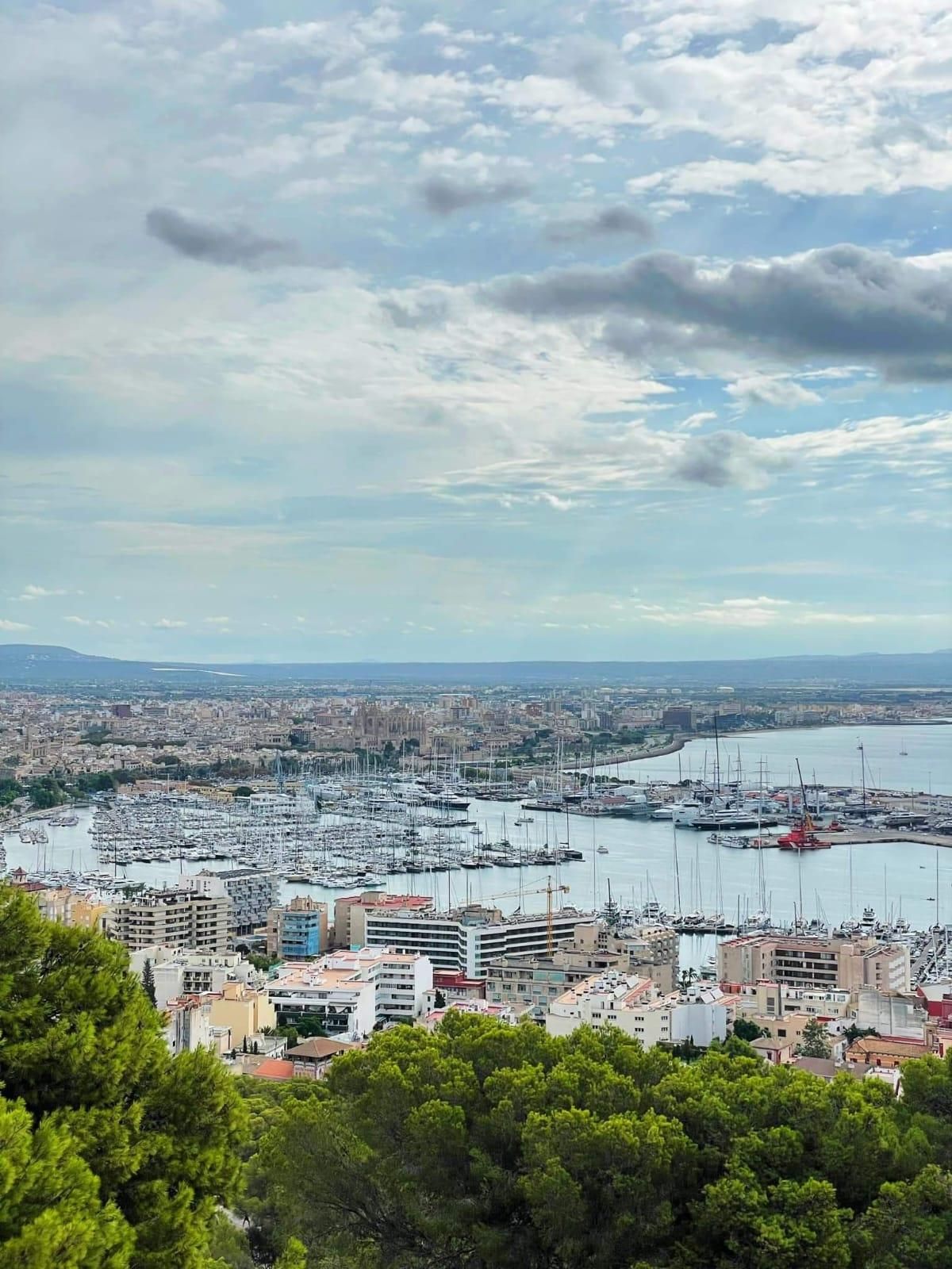 Vista exterior de Casa o xalet en venda en  Palma de Mallorca amb Terrassa i Traster