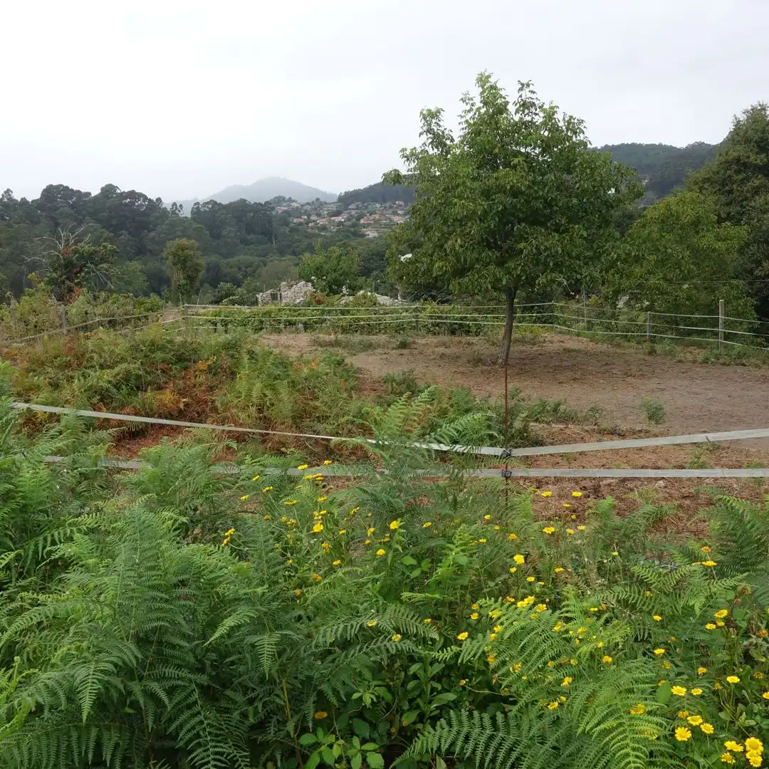 Finca rústica en venta en Gondomar