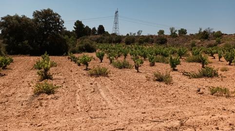 Foto 2 von Residential zum Verkauf in Pasaje Hoya Huesos, Venta del Moro, Valencia