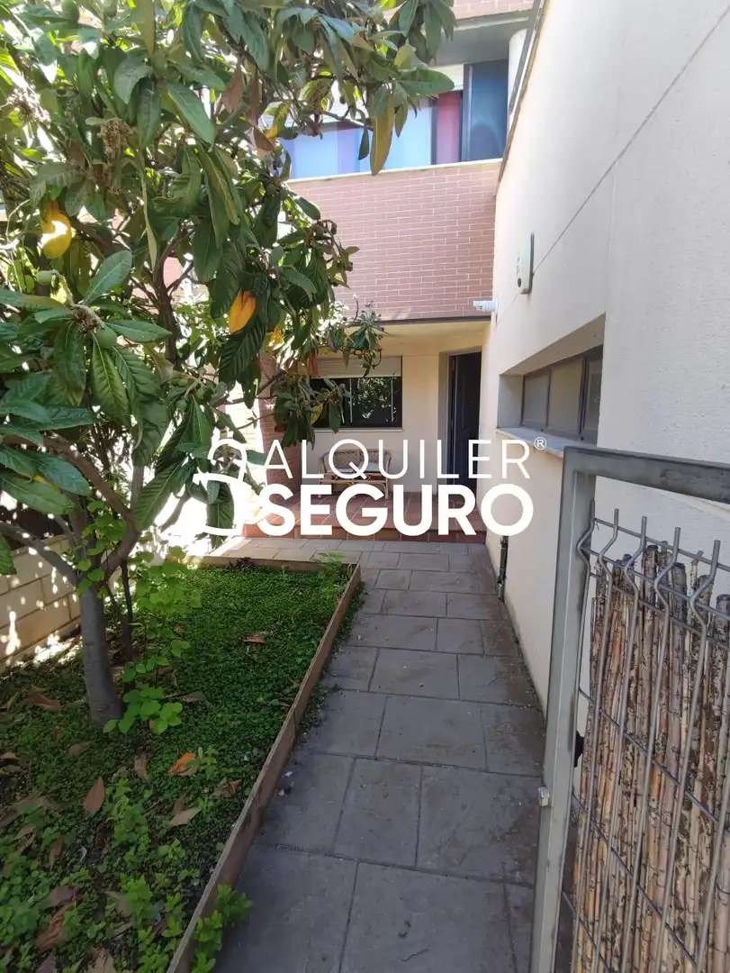 Exterior view of Houses for rent in Alovera  with Heating