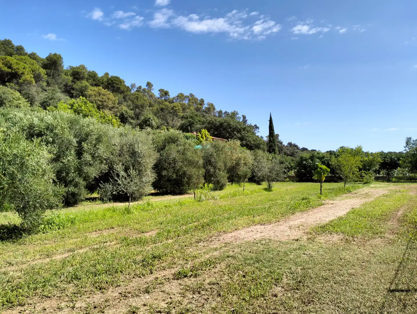 Casa o xalet en venda en Cervià de Ter amb Jardí privat, Terrassa i Balcó