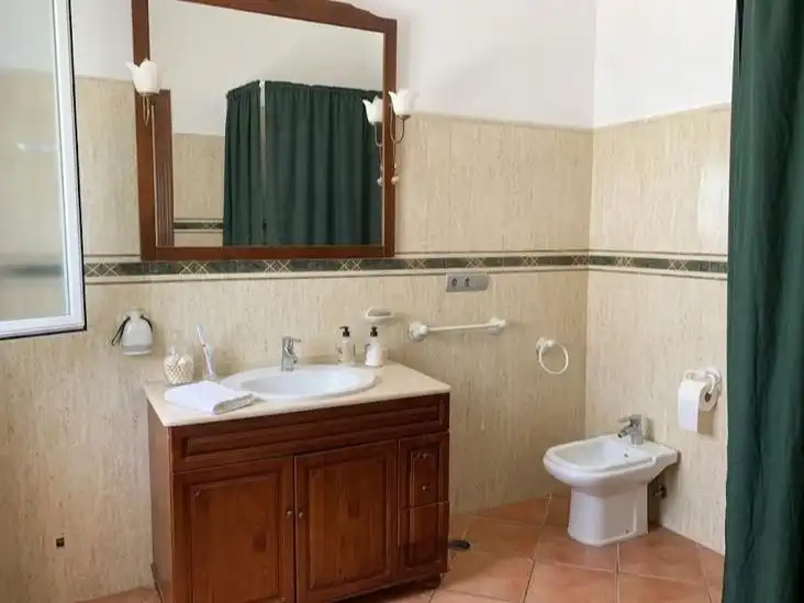 Baño de Casa o chalet en venta en Carmona con Aire acondicionado, Calefacción y Jardín privado
