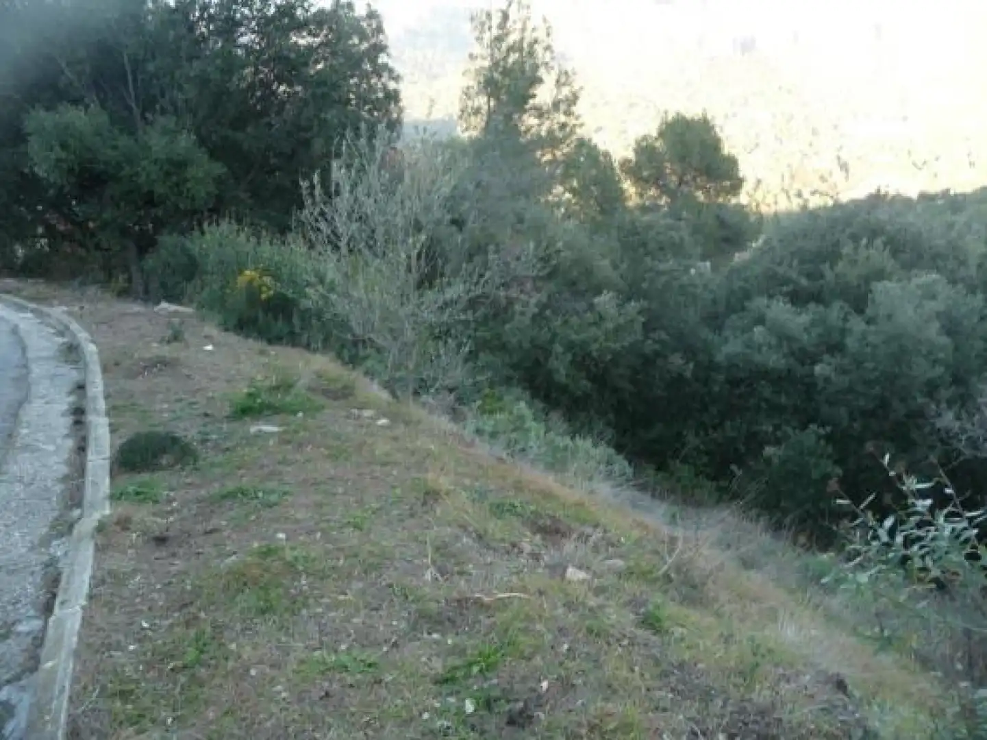 Rural land for sale in Matadepera - Calle Dauradella, imagen 4