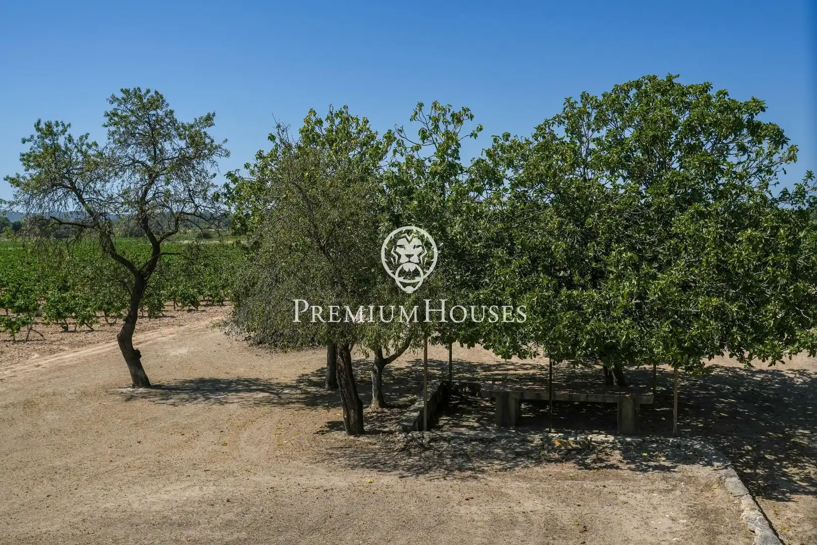 Casa rustica con terrazza in vendita a Castellet i la Gornal, imagen 35