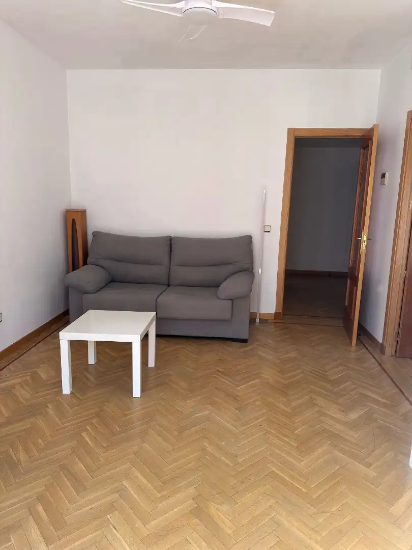 Sala de estar de Piso de alquiler en Madrid con Aire acondicionado, Calefacción y Parquet