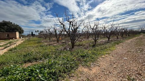 Foto 3 de Residencial en venda a Alberic, Valencia
