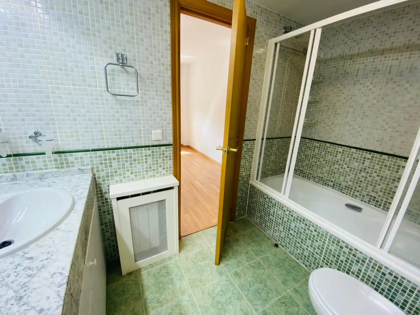 Detached homes for sale in Calle Secundino Zuazo, La Garena