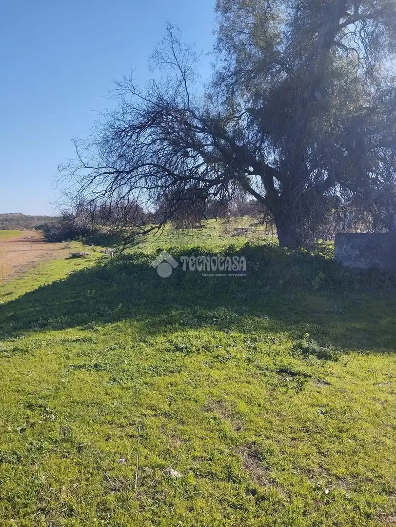 Rural land for sale in terreno Poligono Cuchipanda, imagen 2