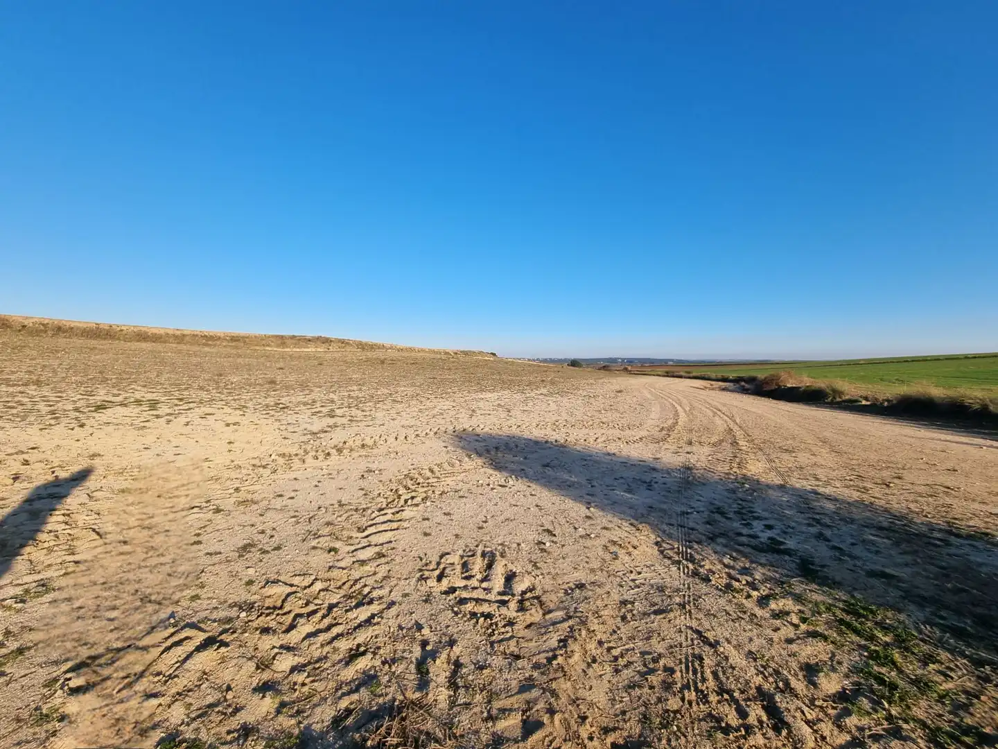 Rural land for sale in El Álamo, imagen 5